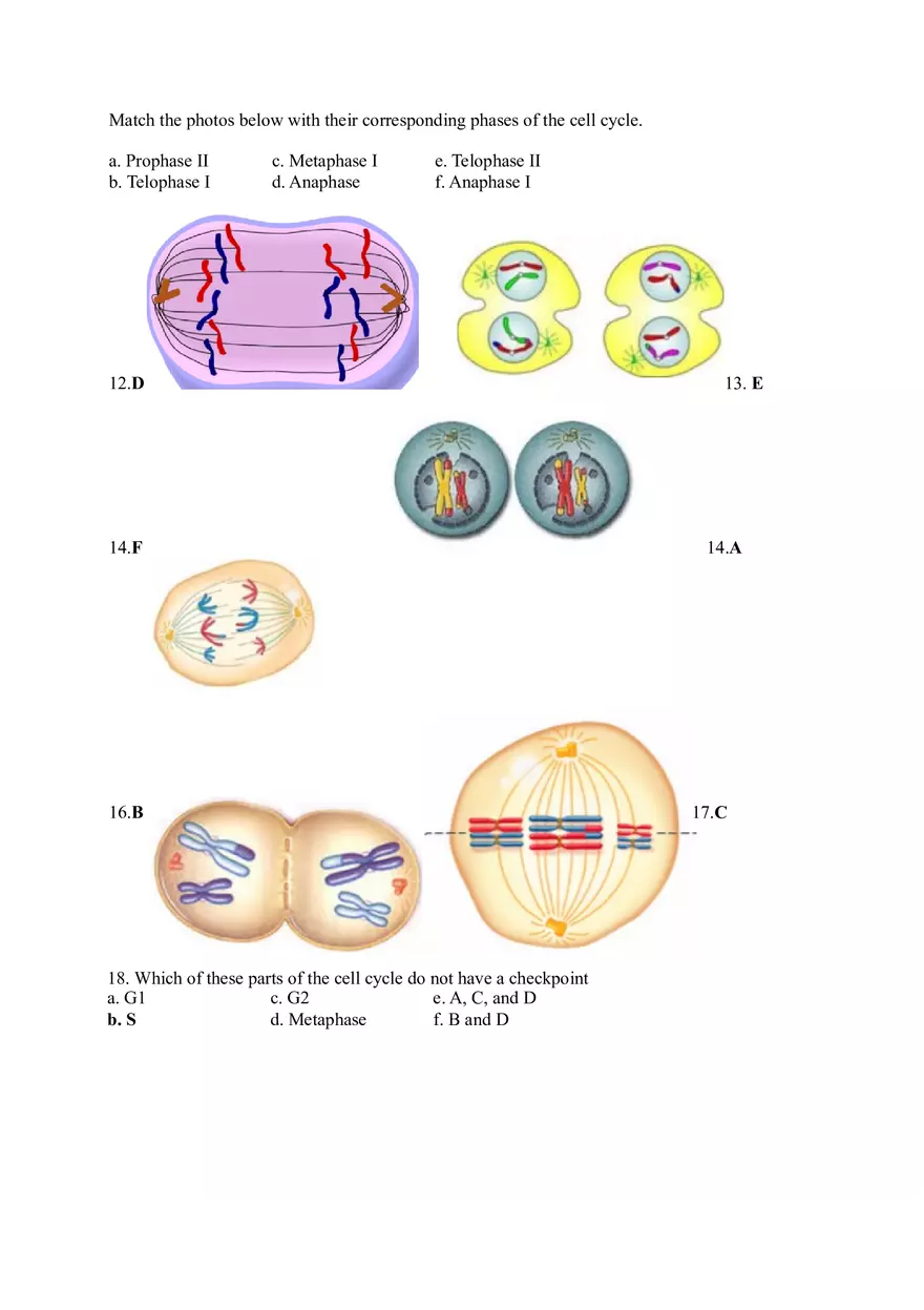 Modern Biology 76 Answer Key - Page 5