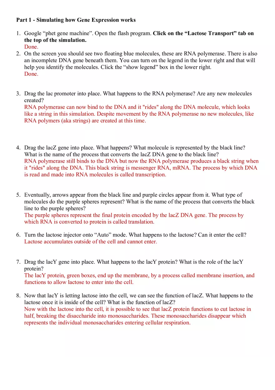 Simulating How Gene Expression Works - Page 1