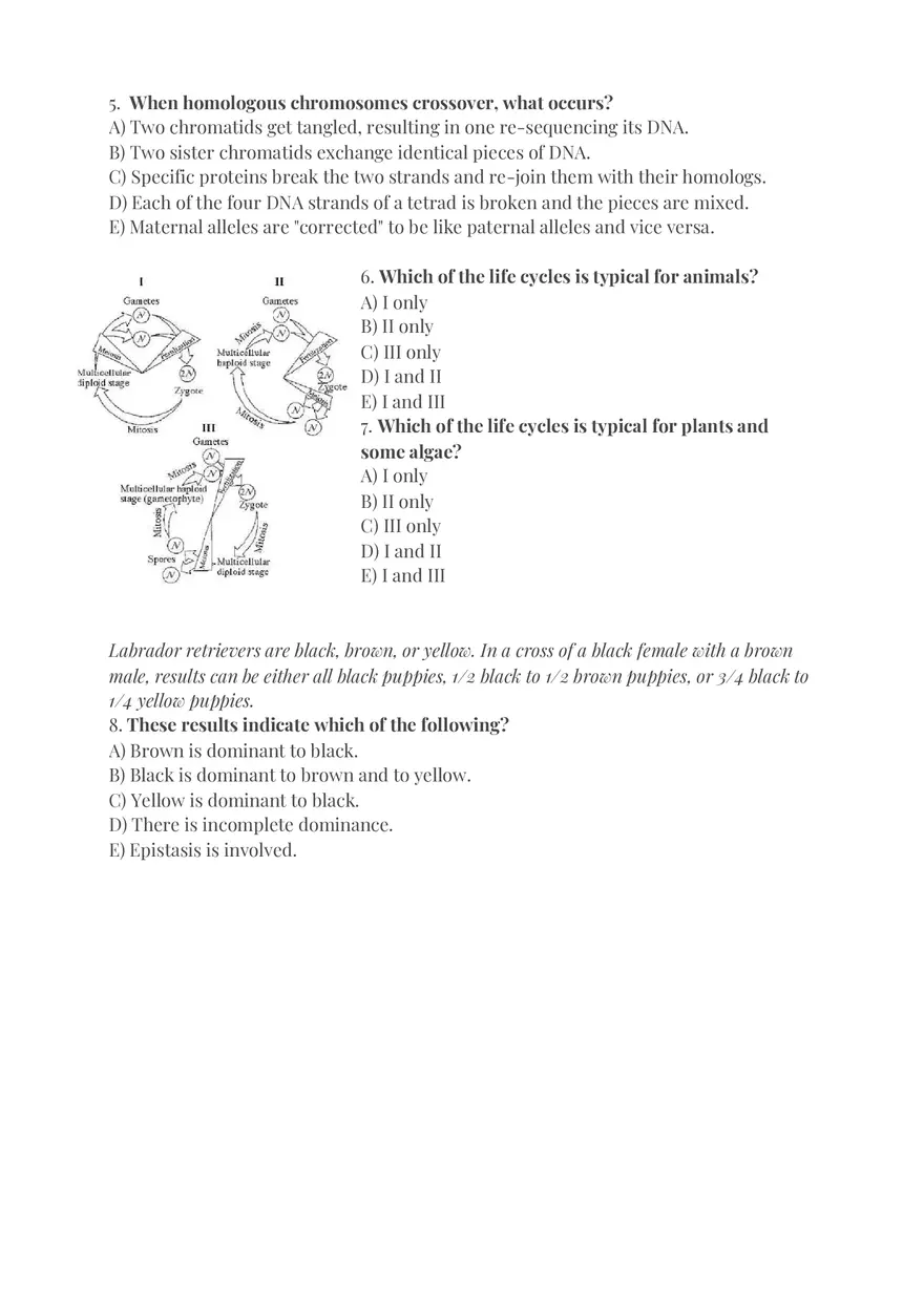 Textbook Practice Questions – Cell Division and Genetics - Page 3