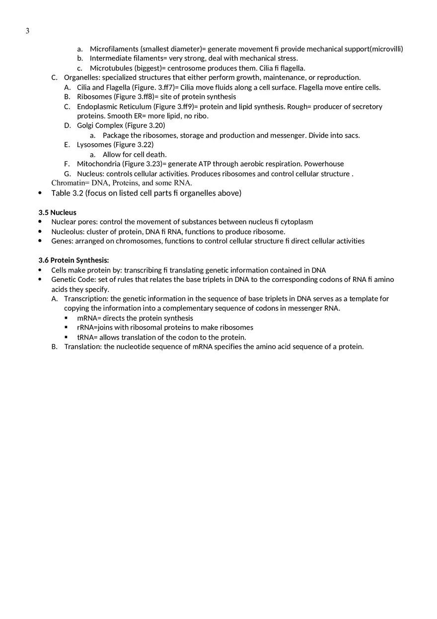 Cellular Level of Organization - Page 3