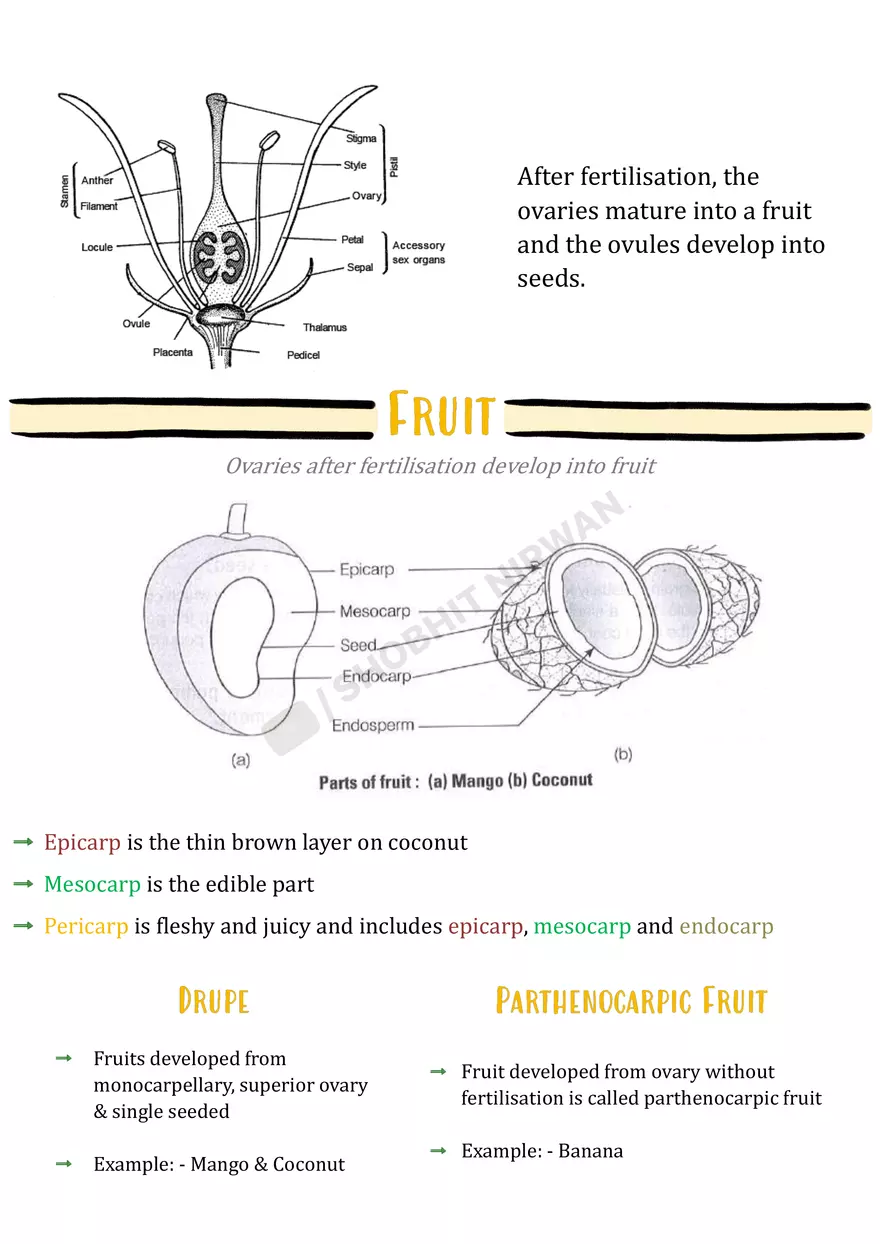 Morphology of Flowering Plants - Page 11