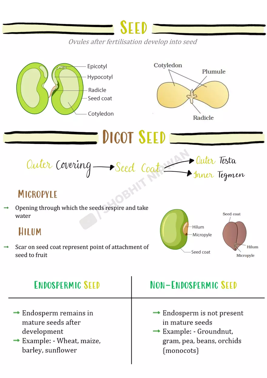 Morphology of Flowering Plants - Page 12