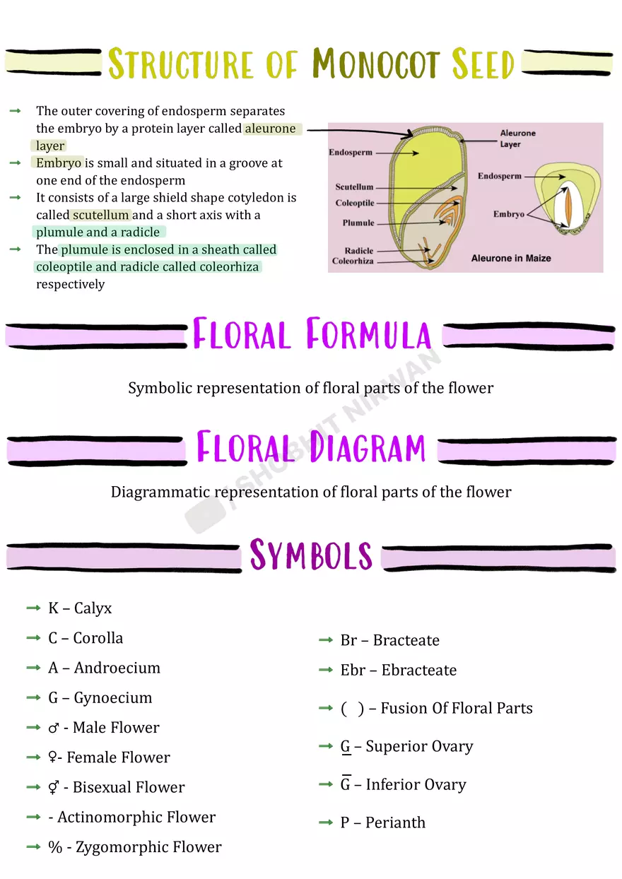 Morphology of Flowering Plants - Page 14