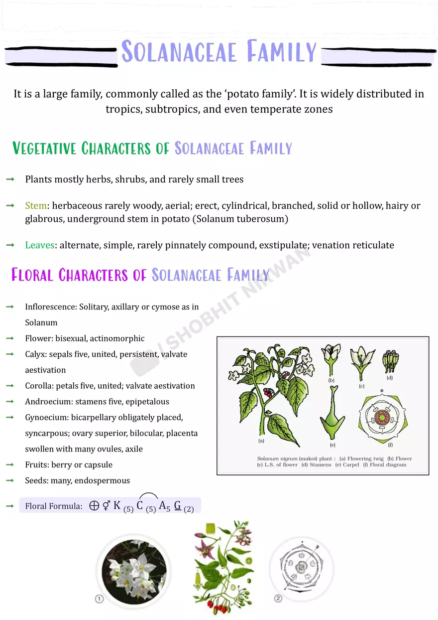Morphology of Flowering Plants - Page 15