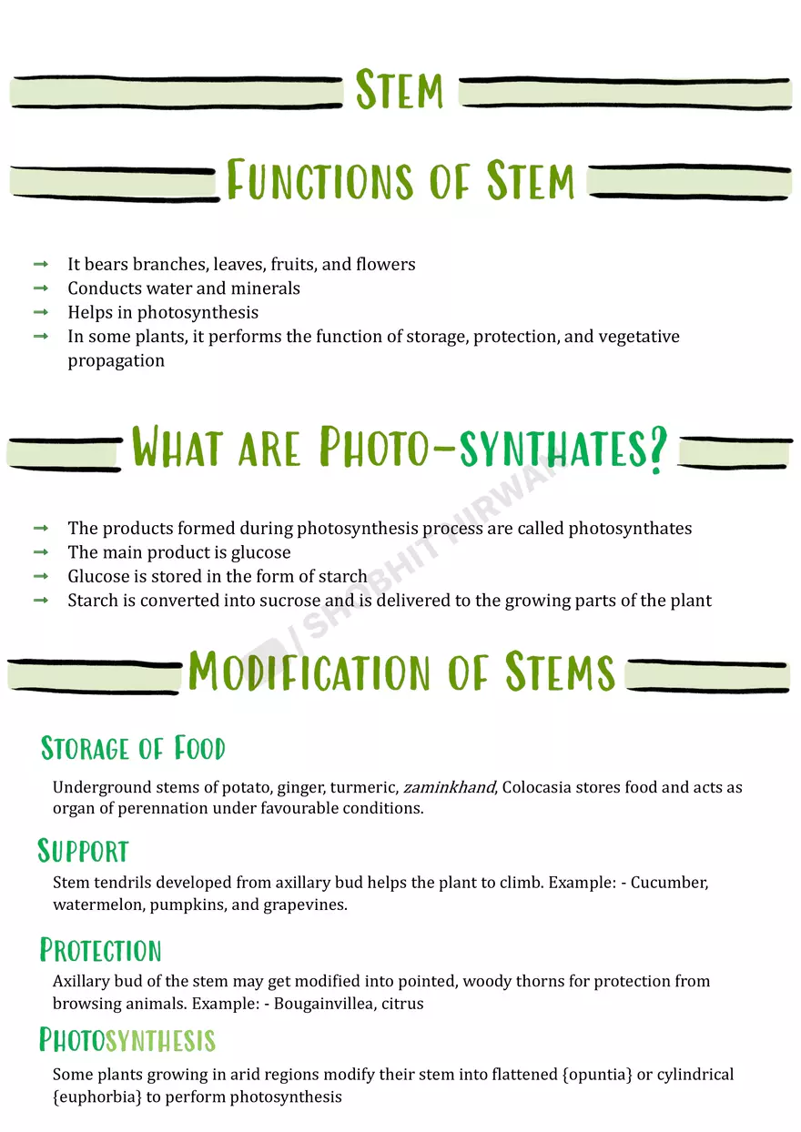 Morphology of Flowering Plants - Page 18