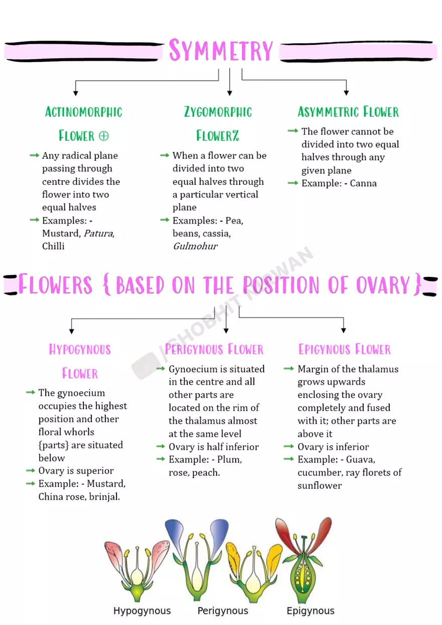 Morphology of Flowering Plants - Page 6