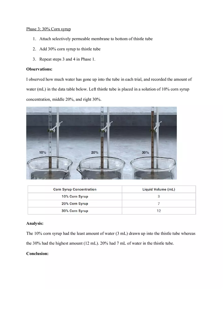 Osmosis - Movement of Water Across a Selectively Permeable Membrane - Page 2