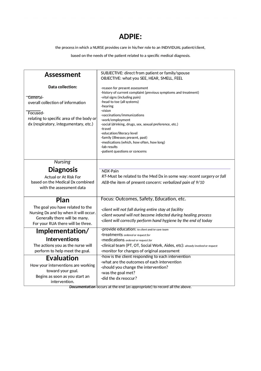 Adpie Nursing Documentation - Page 1