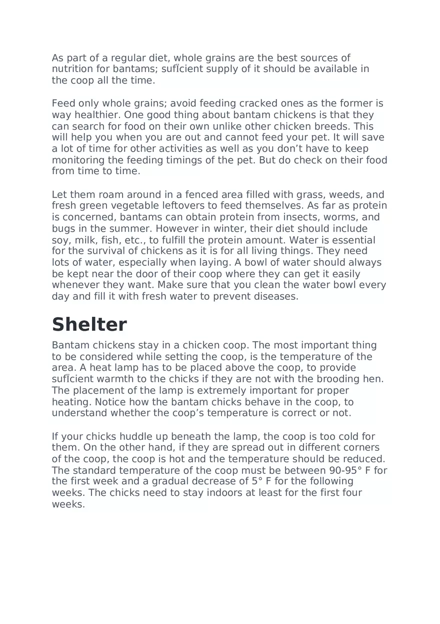 How to Hatch Turkey Eggs Naturally - Page 9