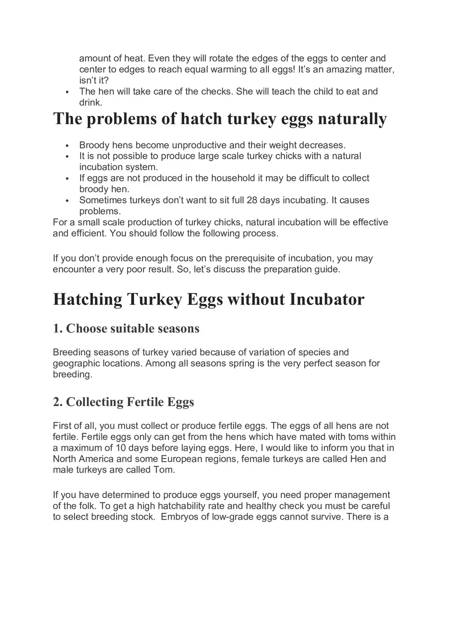 How to Hatch Turkey Eggs Naturally - Page 2