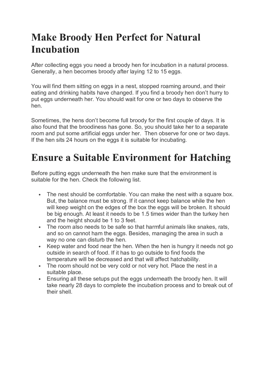 How to Hatch Turkey Eggs Naturally - Page 5