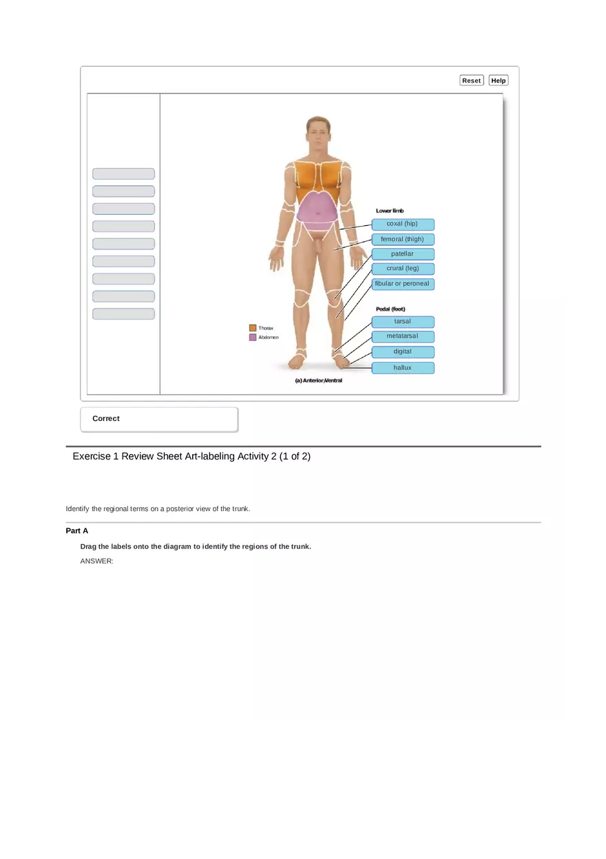 Unit 1 Ex 1 Review Sheet (Anat Term) - Page 8