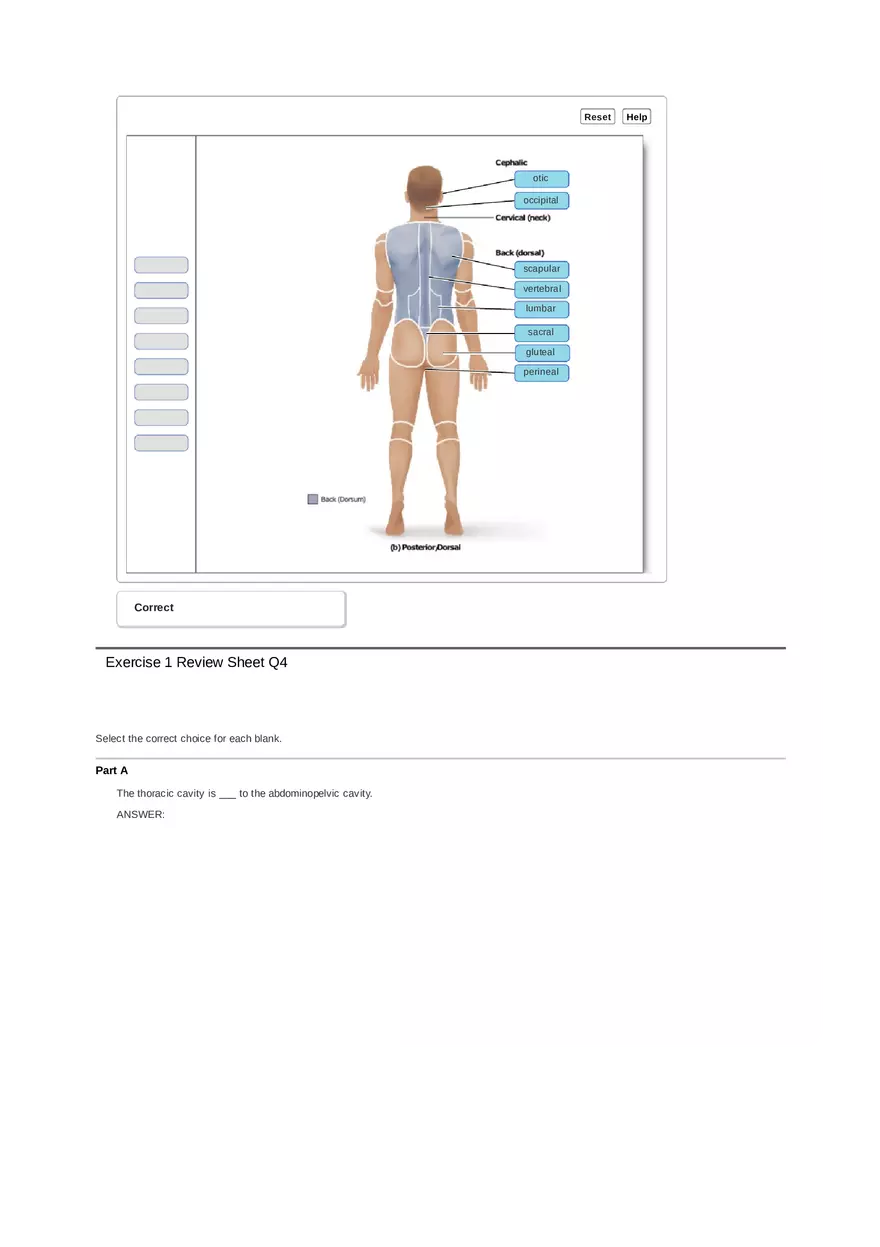 Unit 1 Ex 1 Review Sheet (Anat Term) - Page 9