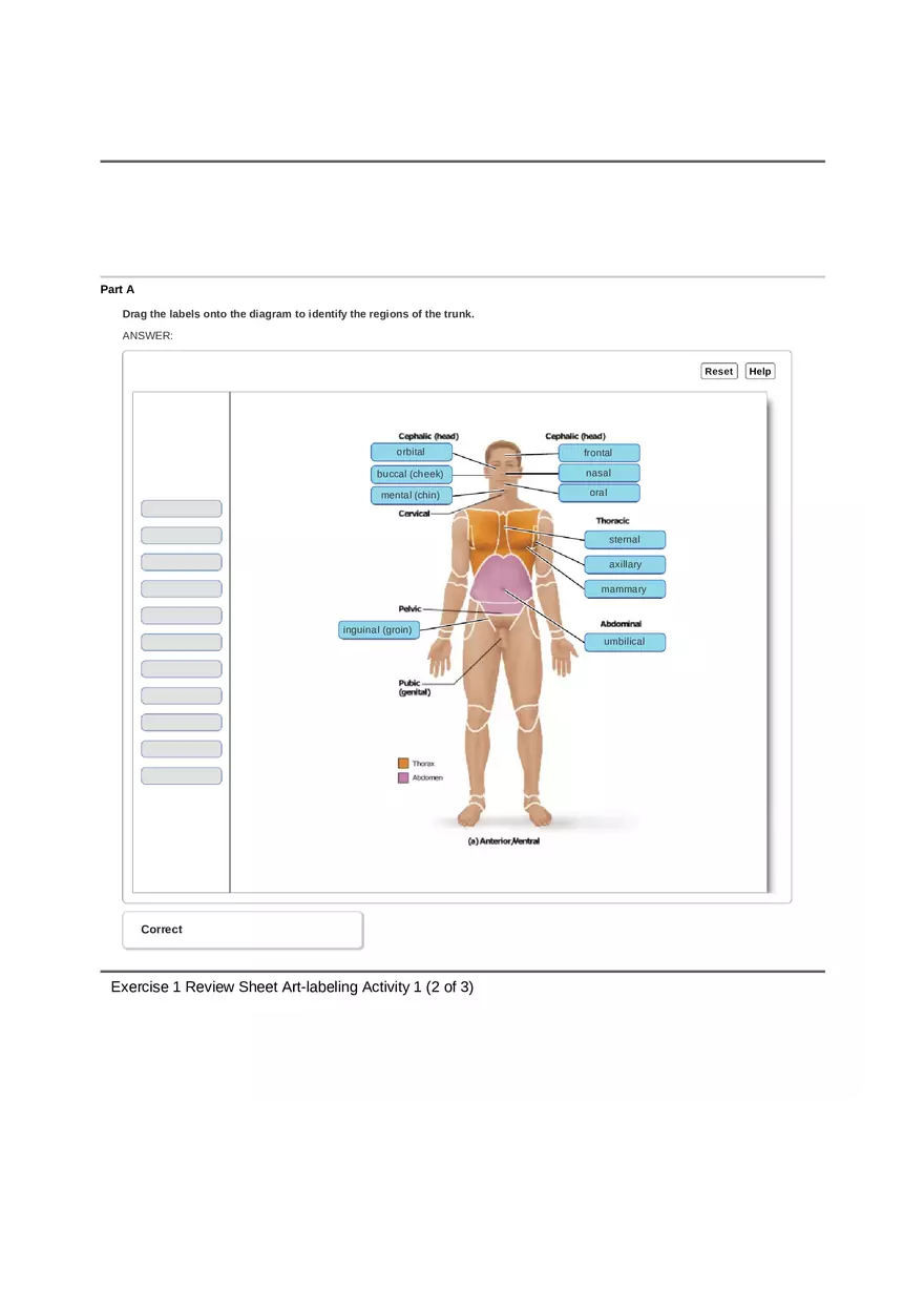Unit 1 Ex 1 Review Sheet (Anat Term) - Page 1