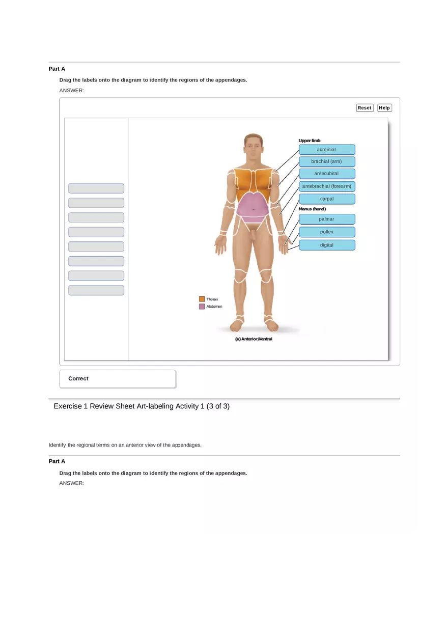 Unit 1 Ex 1 Review Sheet (Anat Term) - Page 2