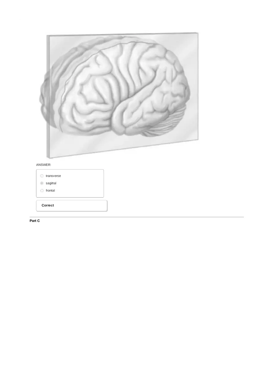 Unit 1 Ex 1 Review Sheet (Anat Term) - Page 4