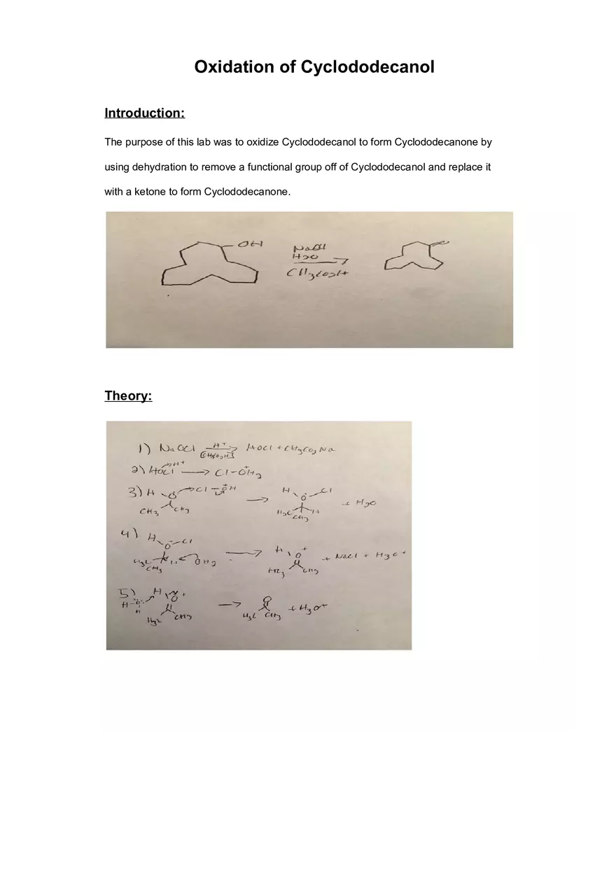 Oxidation of Cyclododecanol - Page 1