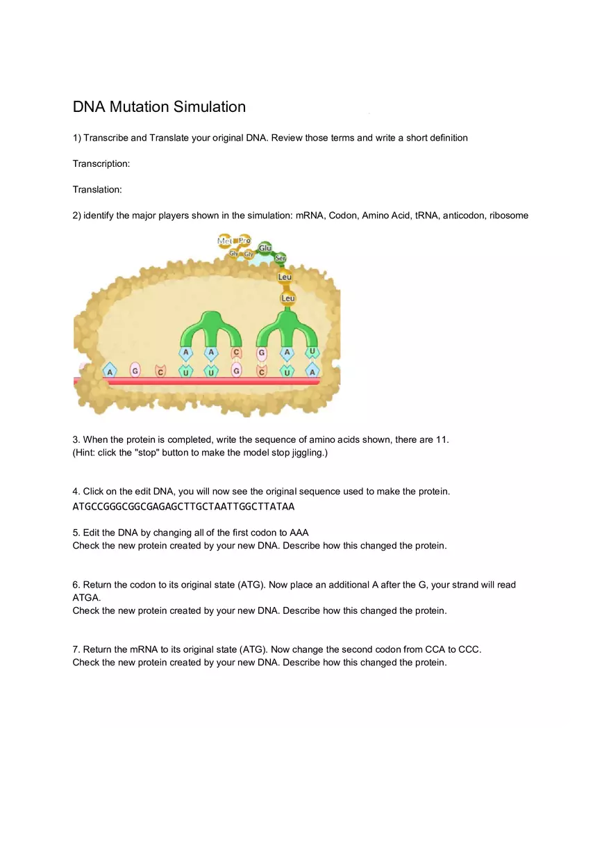 DNA Simulation Worksheet - Page 1