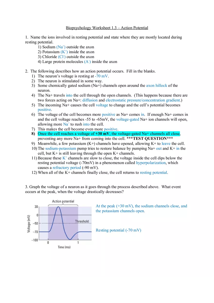 Worksheet Action Potential - Page 1