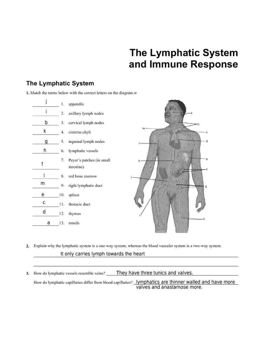 Lymphatic System the Human Body - Page 1