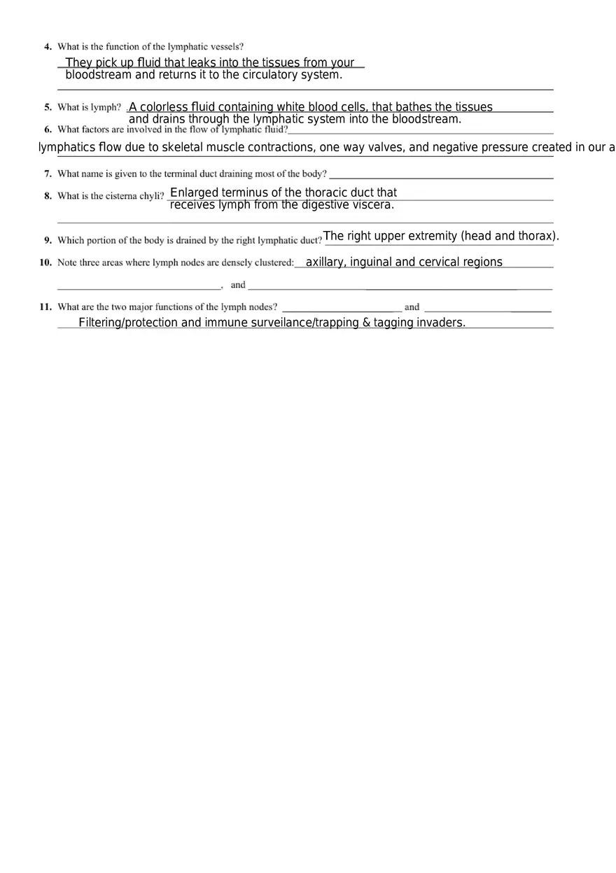 Lymphatic System the Human Body - Page 2