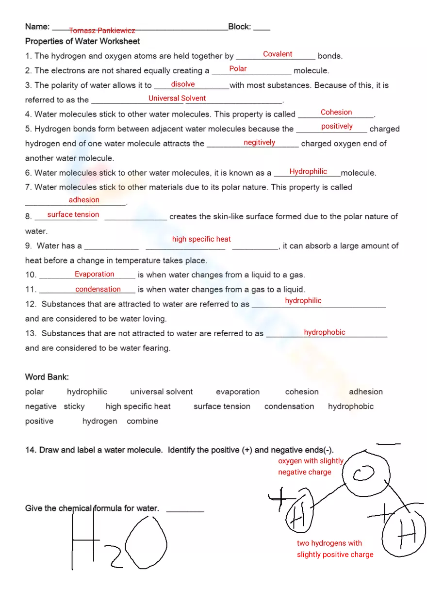Properties of Water Worksheet - Page 1