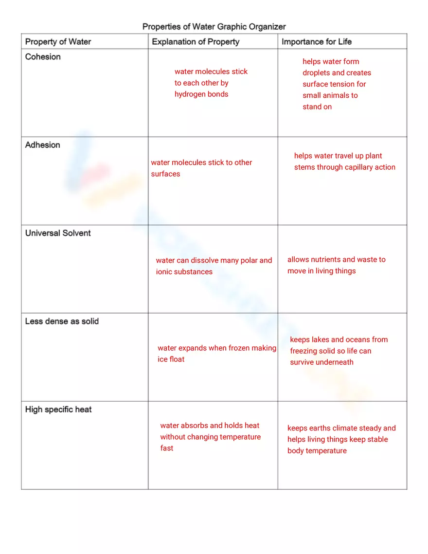 Properties of Water Worksheet - Page 2