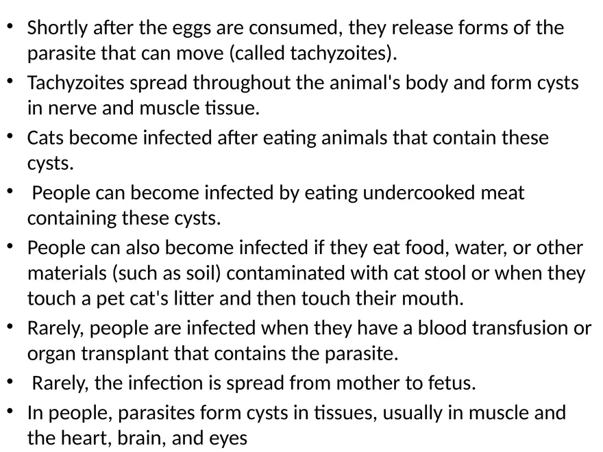 Toxoplasma Gondii - Page 17