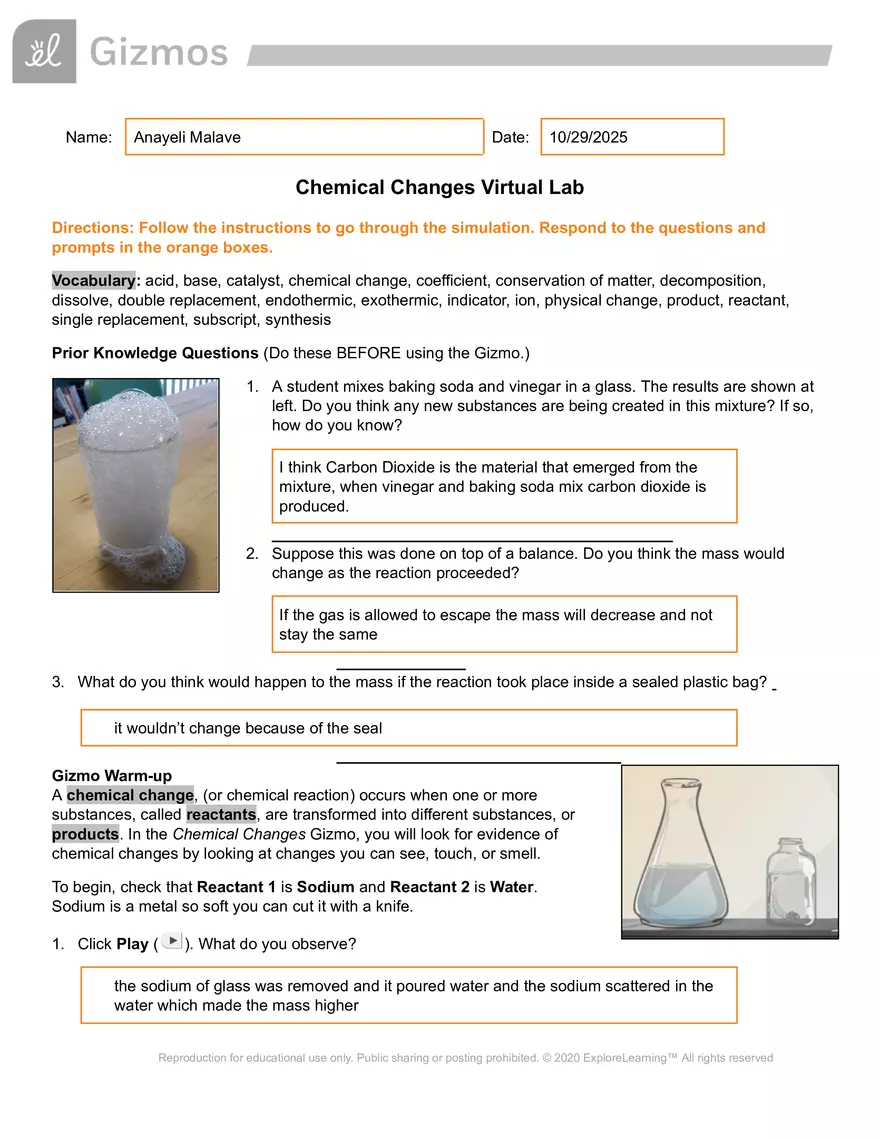 Chemical Changes Virtual Lab - Page 1