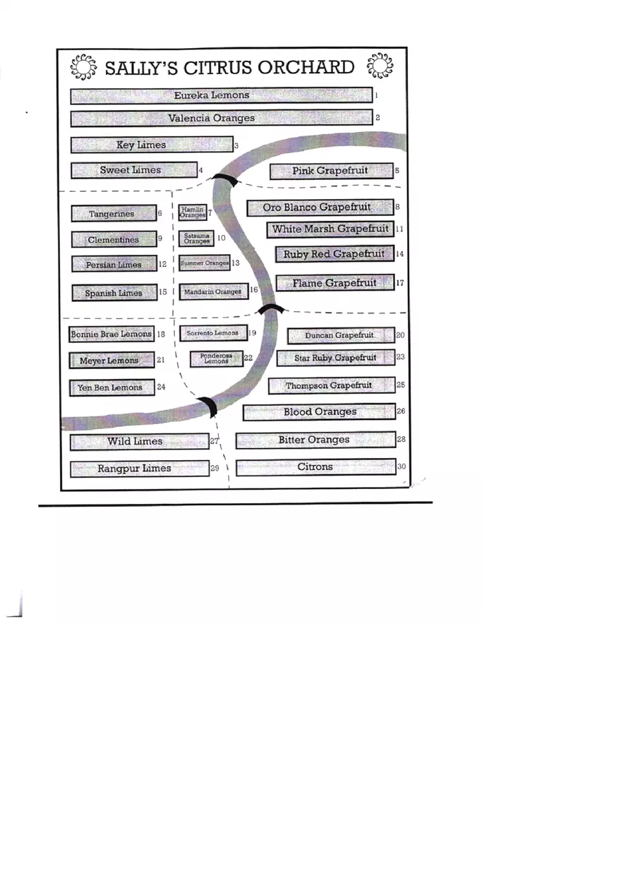 Graphic Literacy Practice Test 2 Part 3 - Page 6