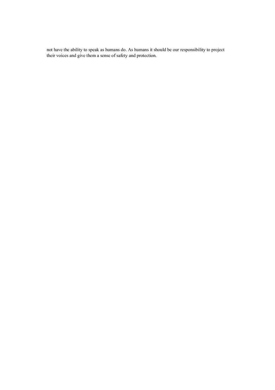 Essay Outline on Animal Rights - Page 2