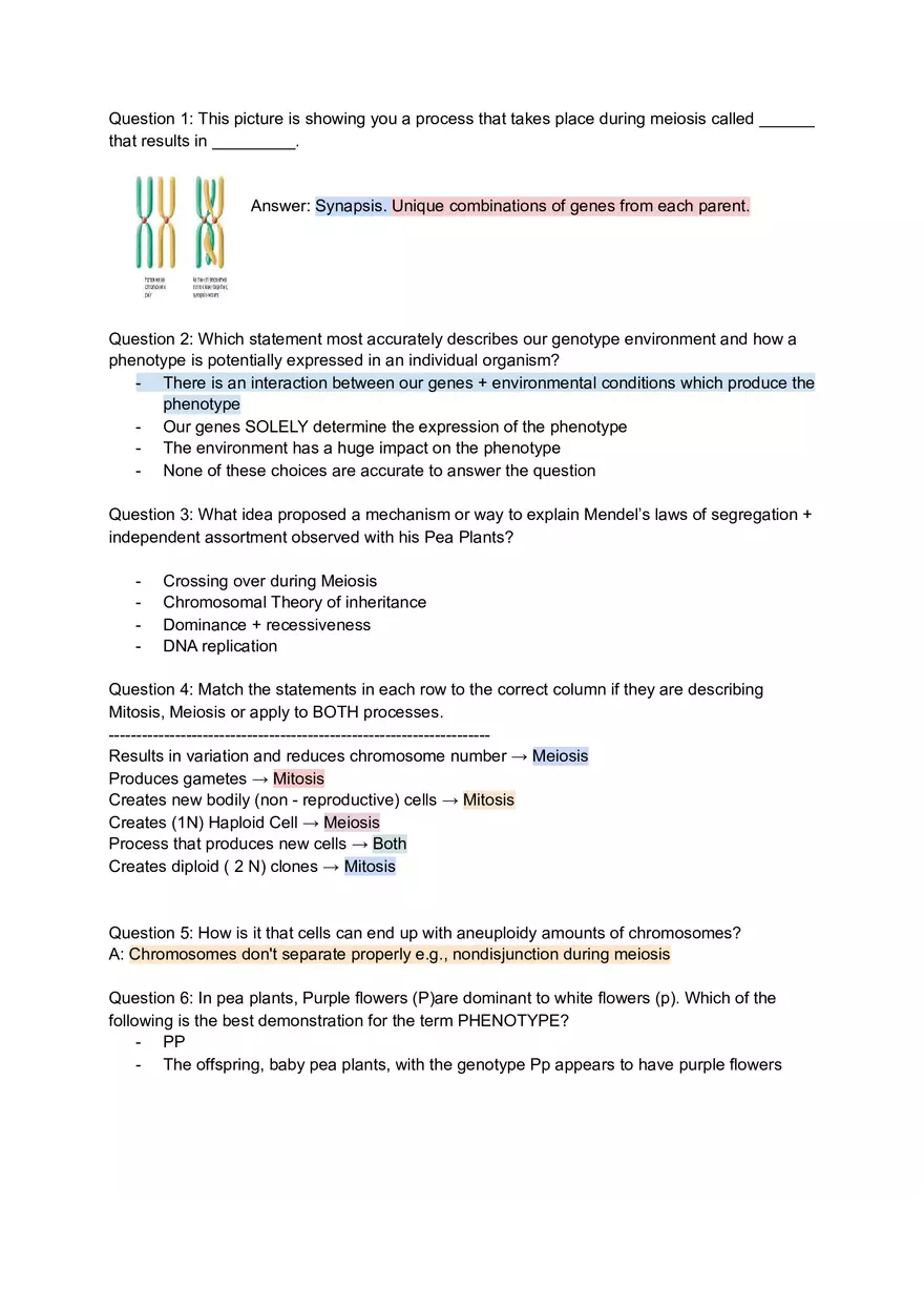 Genetics Unit Test Review Synapsis - Page 1