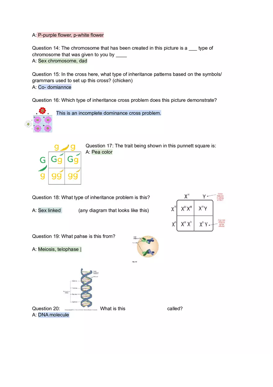 Genetics Unit Test Review Synapsis - Page 3