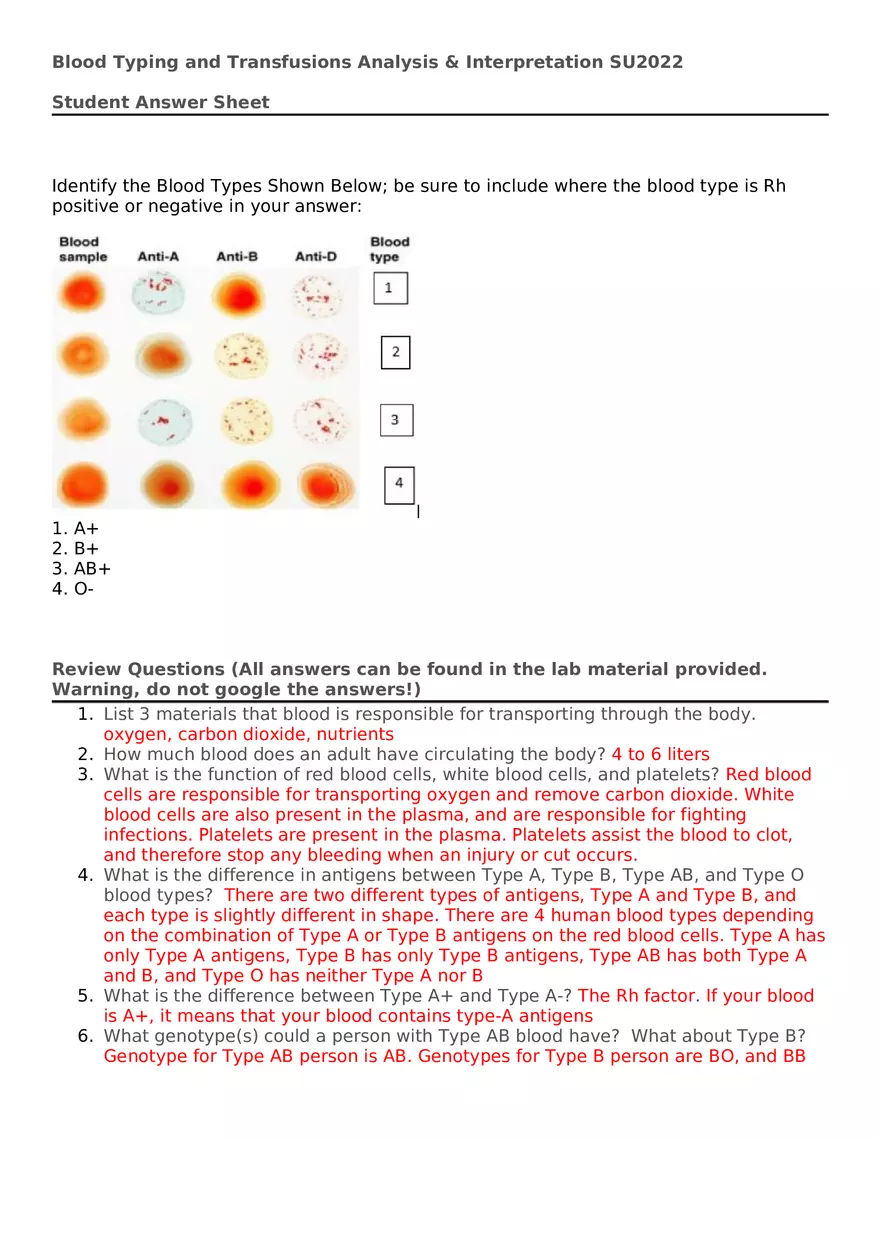 Blood Typing and Transfusions Answer Sheet - Page 1