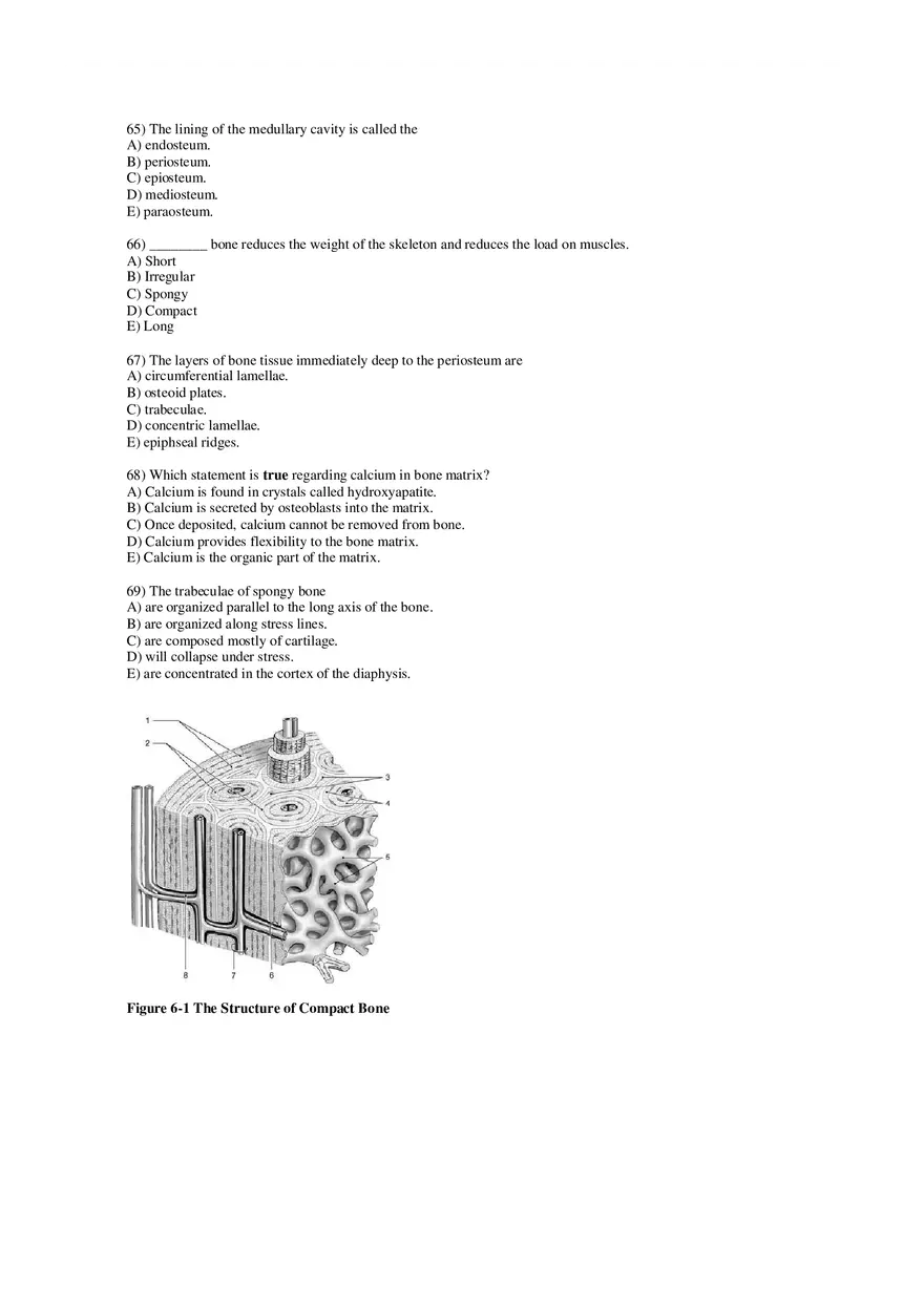 Chapter 6 Bones and Bone Structure Part 1 - Page 9