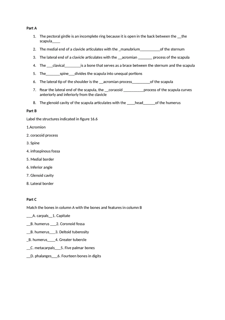 Skeletal System Laboratory Report - Page 4