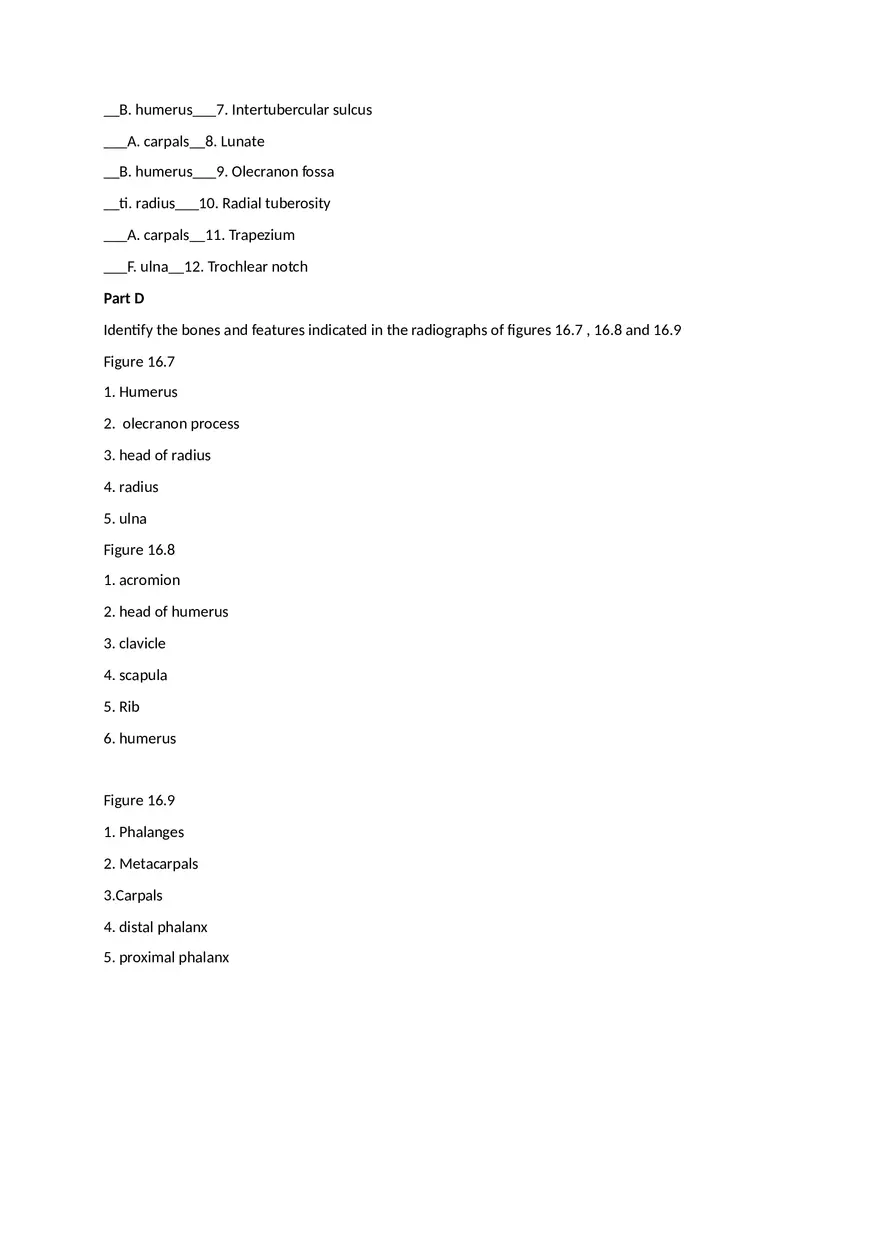 Skeletal System Laboratory Report - Page 5