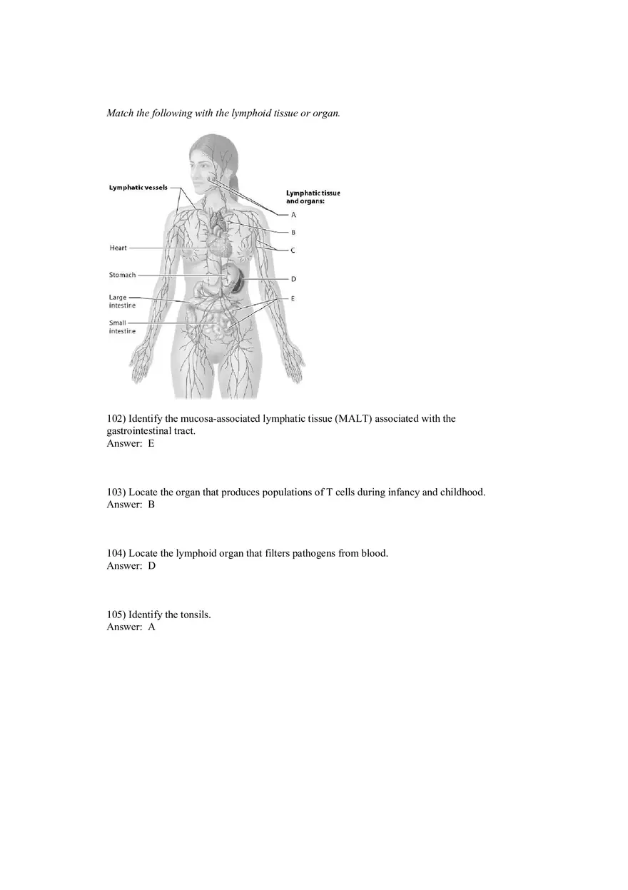The Lymphatic System and Immunity Answer Key 2 - Page 10