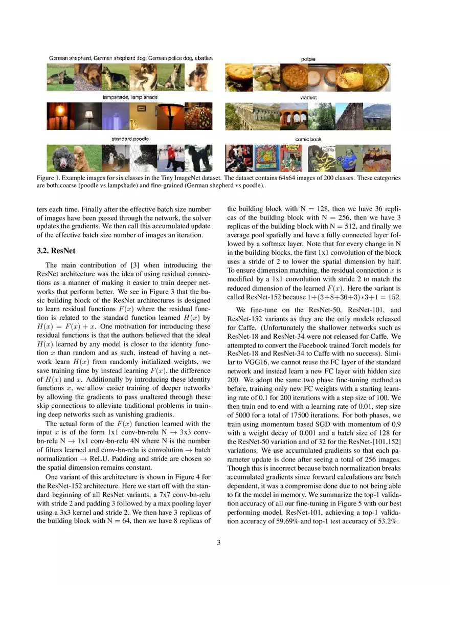 Going Deeper on the Tiny Imagenet Challenge - Page 3