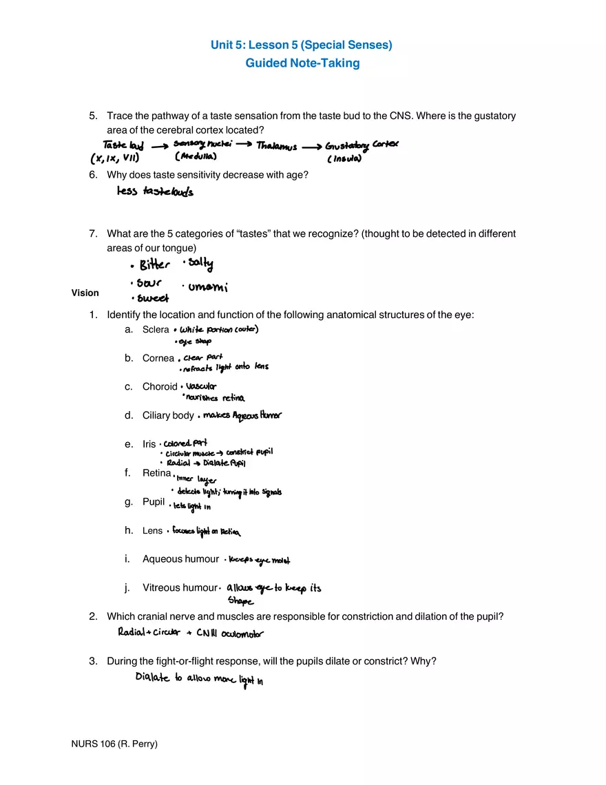 Unit 5: Lesson 5 (Special Senses) Guided Note-Taking - Page 2