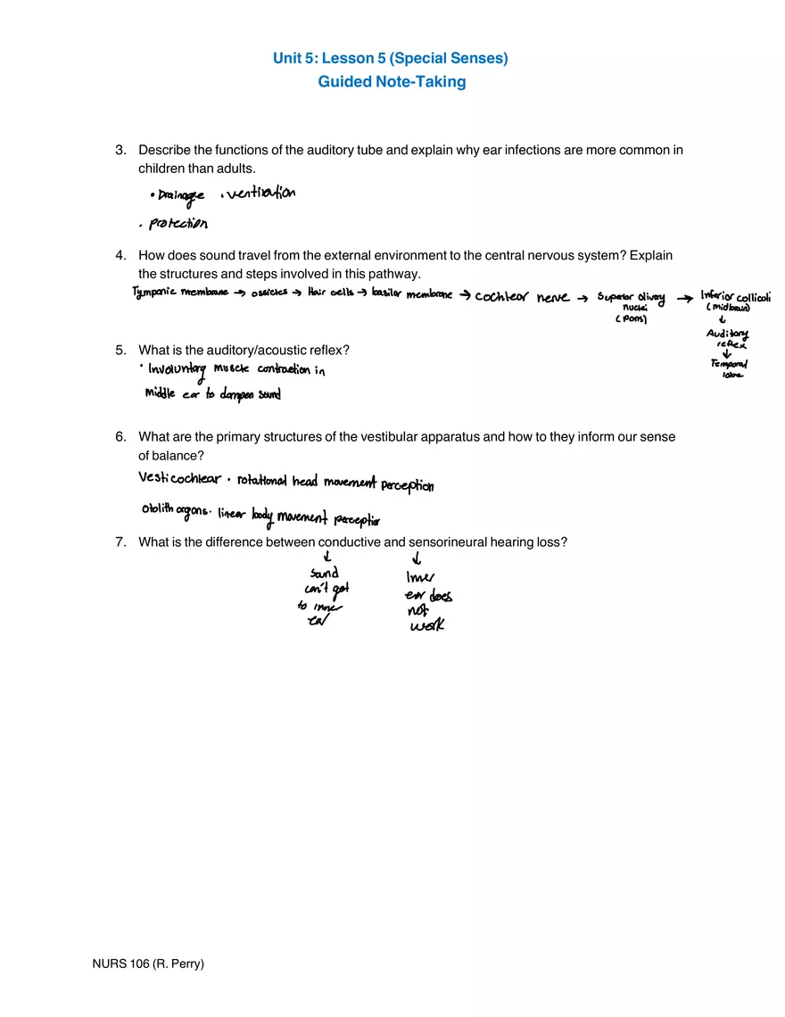 Unit 5: Lesson 5 (Special Senses) Guided Note-Taking - Page 4
