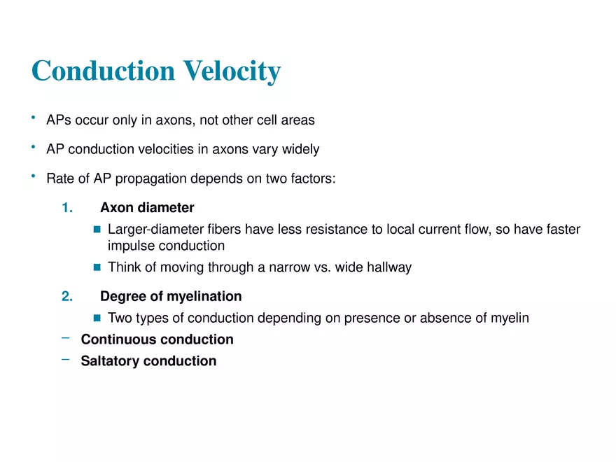Fundamentals of the Nervous System and Nervous Tissue Lectrure 9 - Page 2