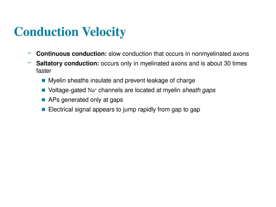 Fundamentals of the Nervous System and Nervous Tissue Lectrure 9 - Page 3