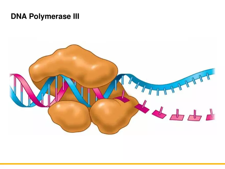 An Introduction to Microbial Genetics Lecture Part 3 - Page 10