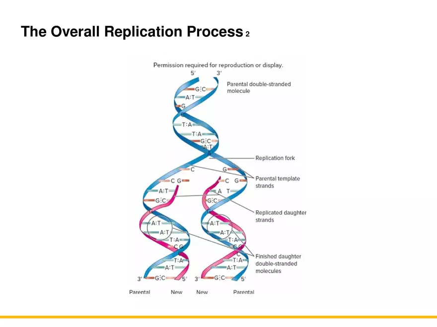 An Introduction to Microbial Genetics Lecture Part 3 - Page 1
