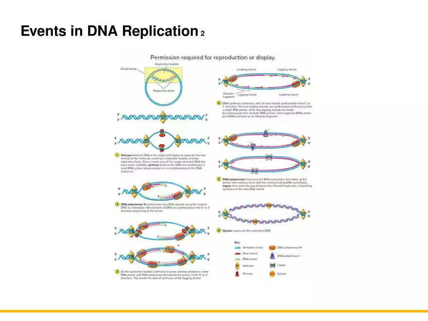 An Introduction to Microbial Genetics Lecture Part 3 - Page 5
