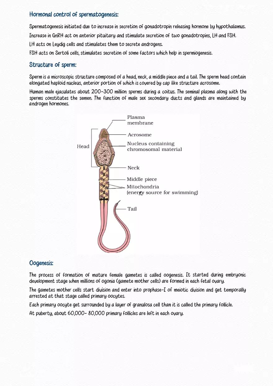 The Human Reproductive System - Page 3