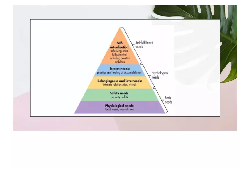 Understanding Motivation Lecture Part 2 - Page 9