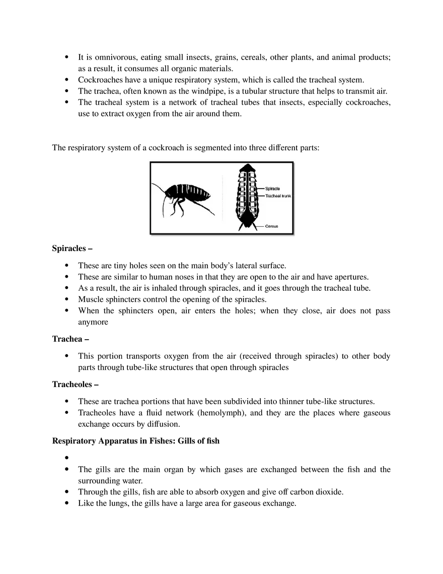 Respiration and Cellular Respiration - Page 5