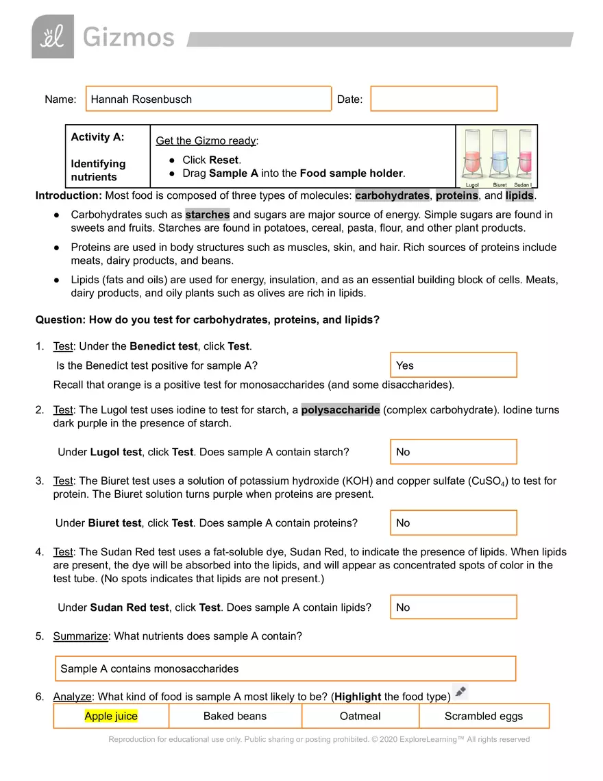 Identifying Nutrients Gizmo Worksheet - Page 1